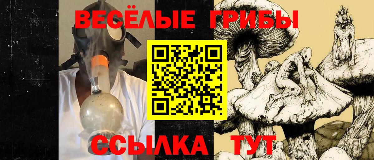 где можно купить   Вход с VPN  Псилоцибиновые грибы GOLDEN TEACHER  Ачхой-Мартан  Галлюциногенные грибы GOLDEN TEACHER 