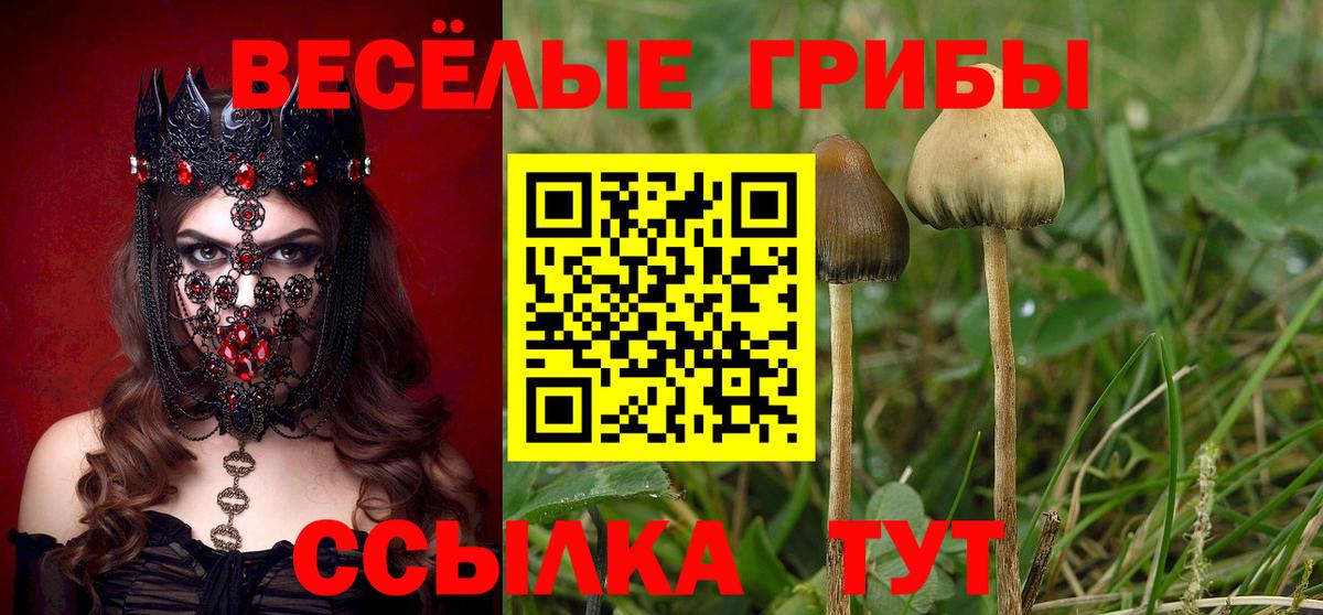 Псилоцибиновые грибы ЛСД Ачхой-Мартан