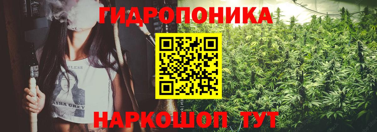 Бошки марихуана White Widow  Вход с VPN  Каннабис AK-47  Марихуана White Widow  Ачхой-Мартан  Конопля AK-47 